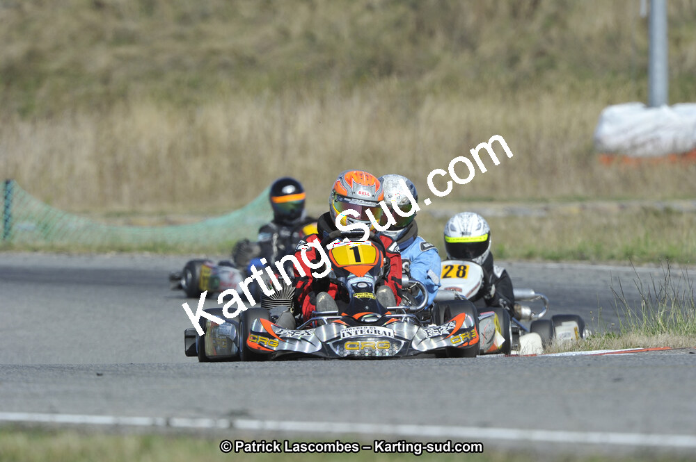 _DSC0075.JPG
