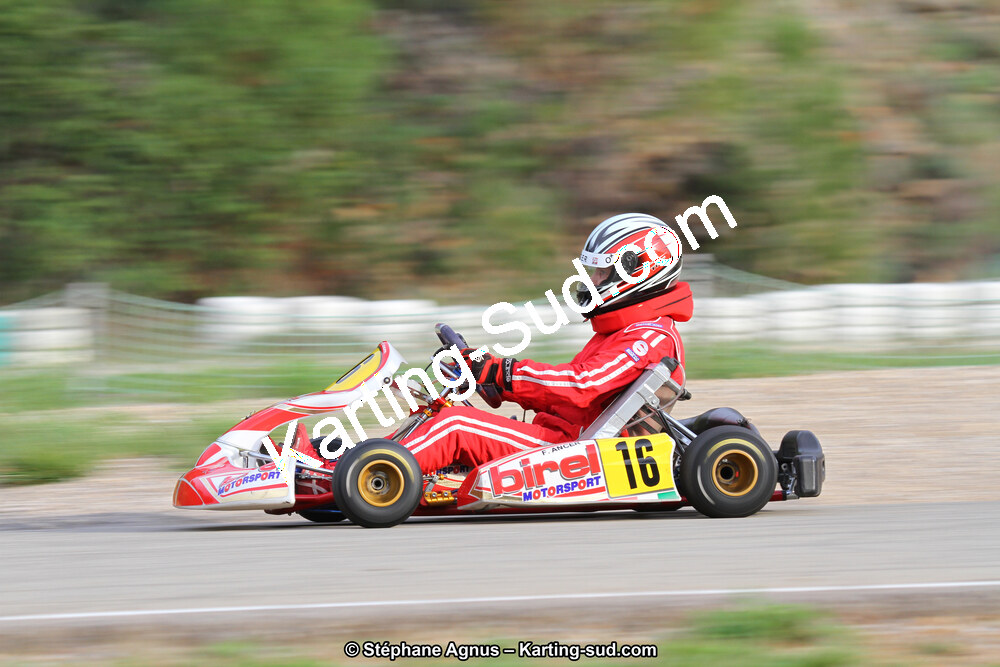 13/10/2013 : Trophée de la Brasserie Didier Racing à Alès (Photos Stéphane Agnus) 2013 — karting