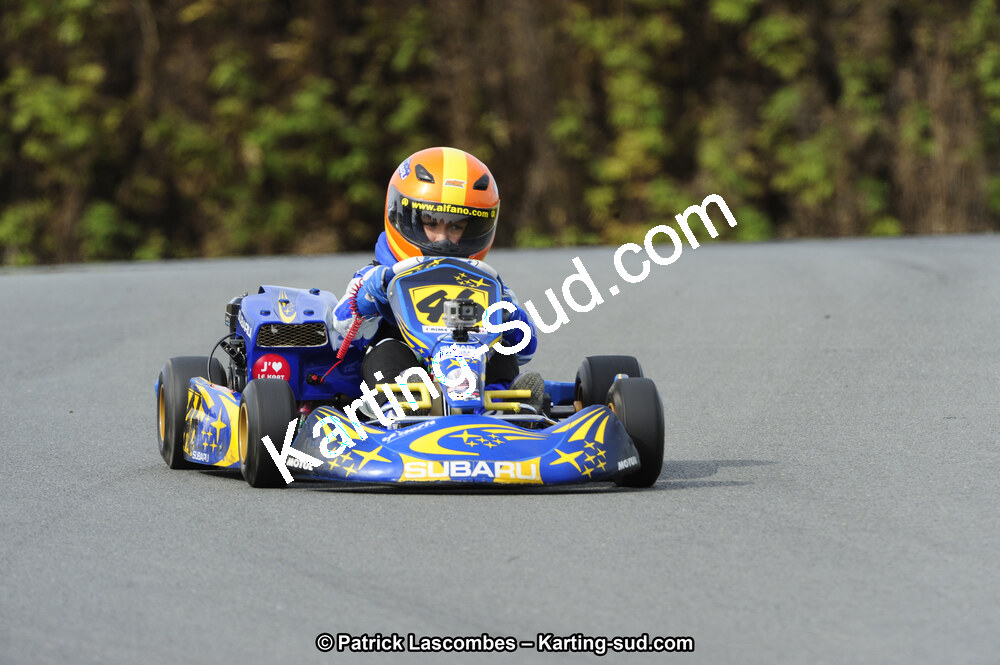 _DSC8050.JPG