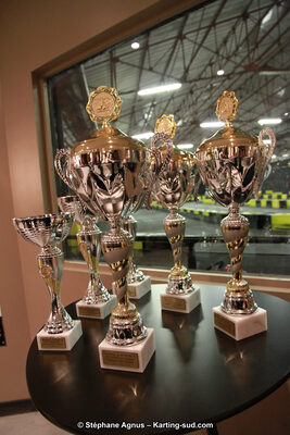 10/01/2014 : Remise des Prix 2013 de la CRK Midi-Pyrénées (Photos Stéphane Agnus) 2014 — karting