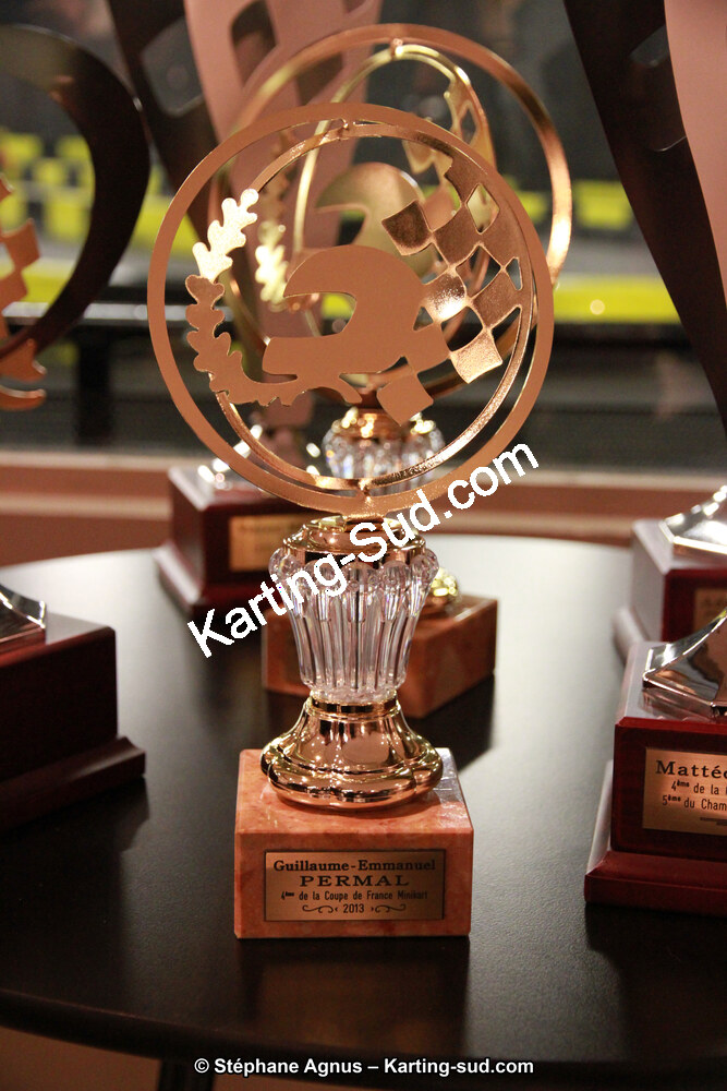 10/01/2014 : Remise des Prix 2013 de la CRK Midi-Pyrénées (Photos Stéphane Agnus) 2014 — karting