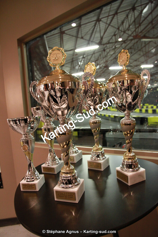 10/01/2014 : Remise des Prix 2013 de la CRK Midi-Pyrénées (Photos Stéphane Agnus) 2014 — karting