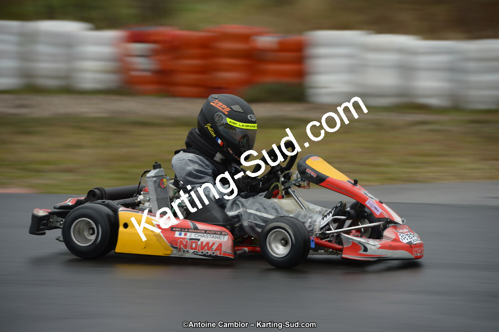 DSC_0446.jpg