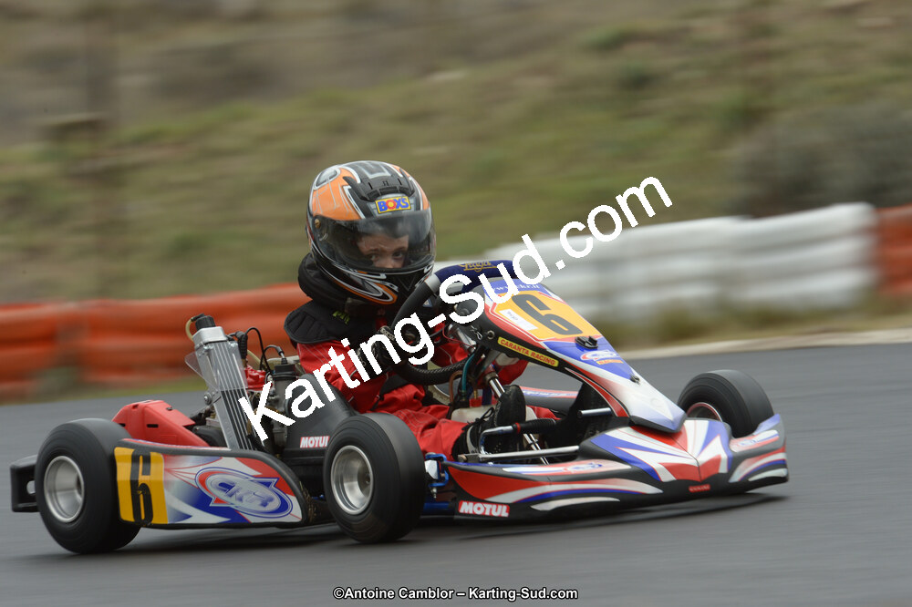 DSC_0954.jpg