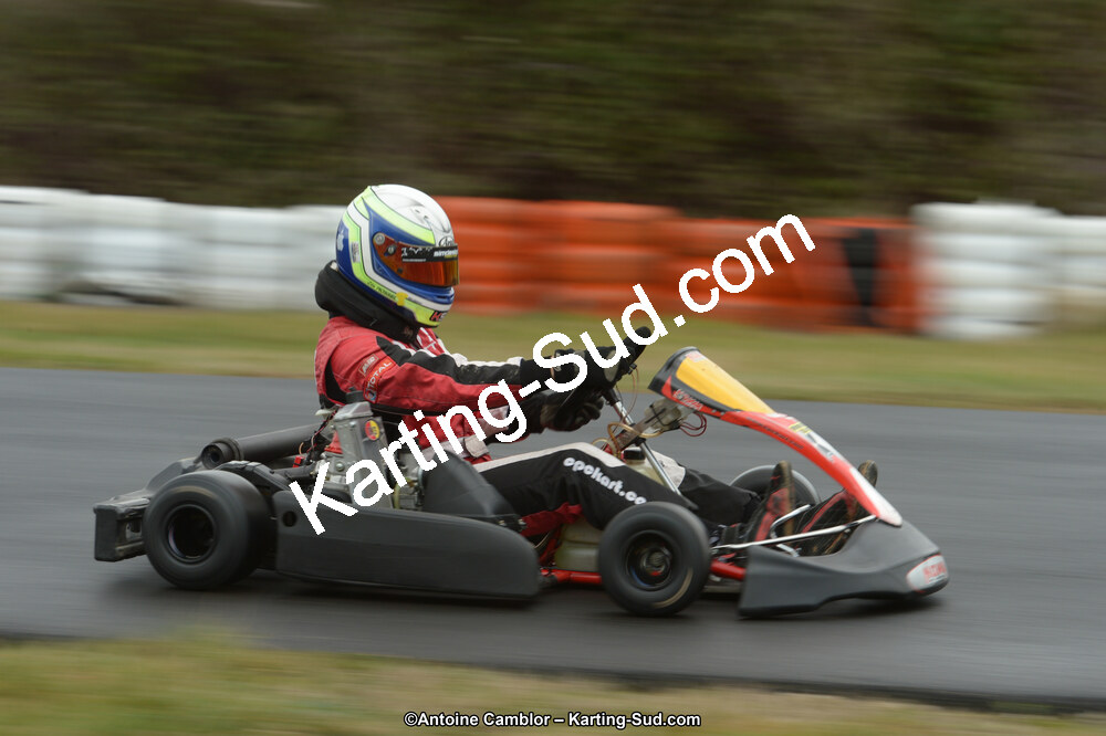 DSC_0990.jpg