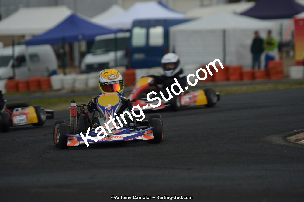 DSC_1251.jpg