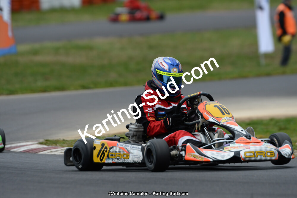 DSC_2413.jpg