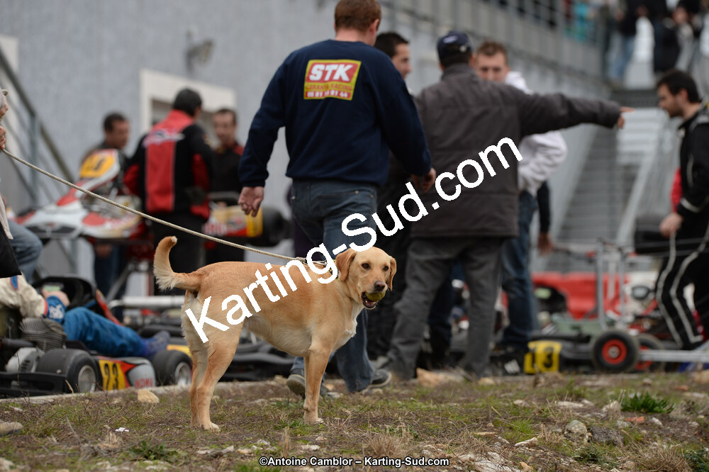 DSC_3051.jpg