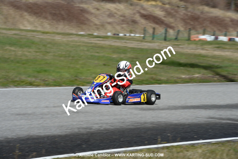 DSC_0010.jpg