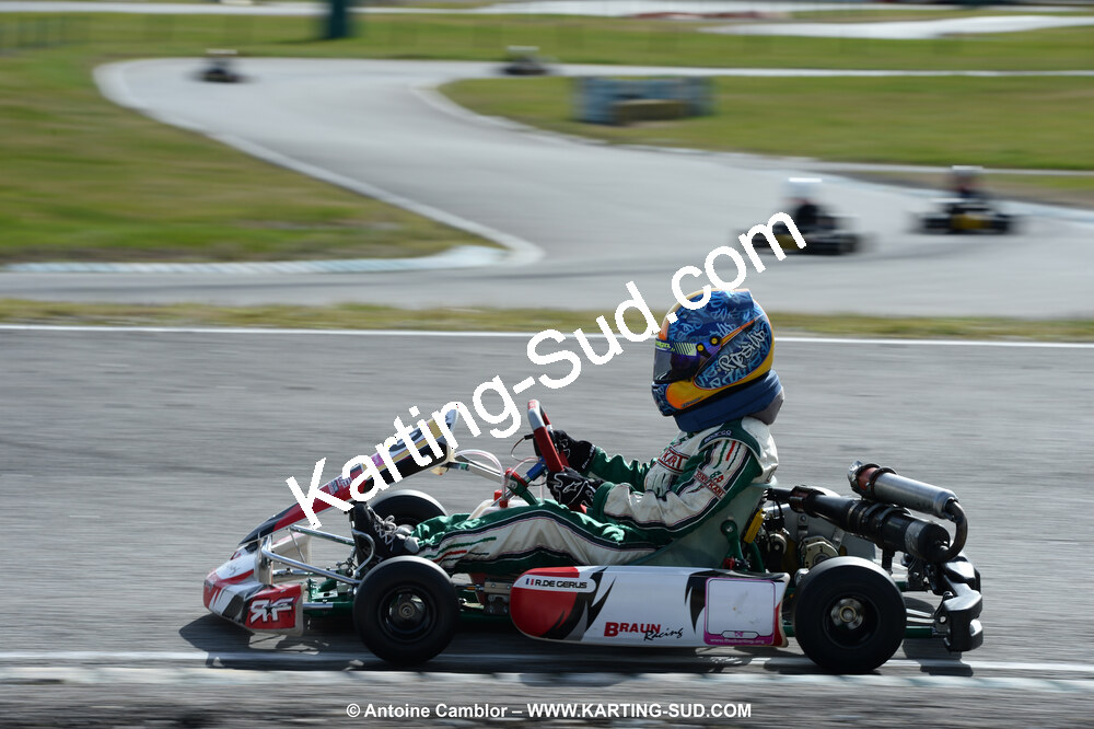 DSC_0142.jpg