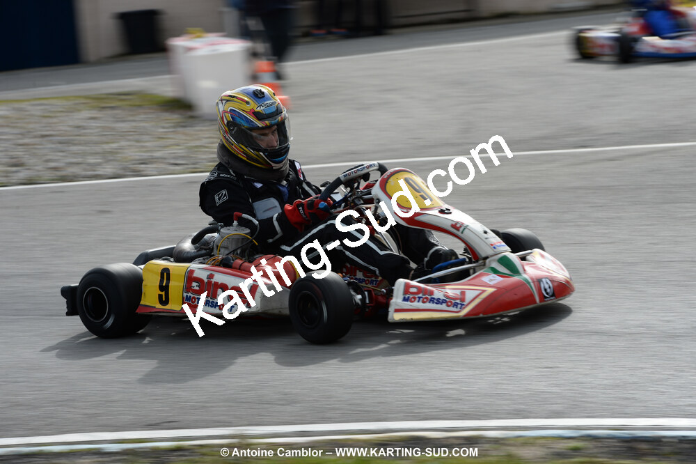 DSC_0313.jpg