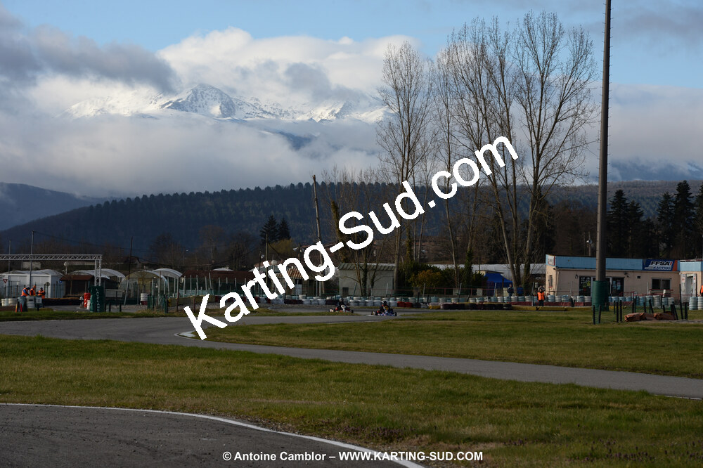 DSC_0917.jpg