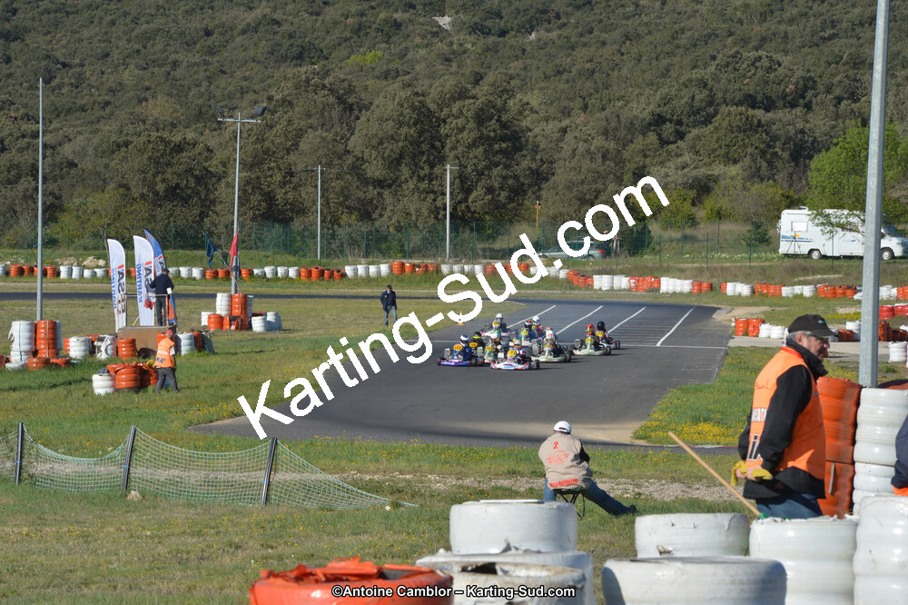 DSC_1000.jpg