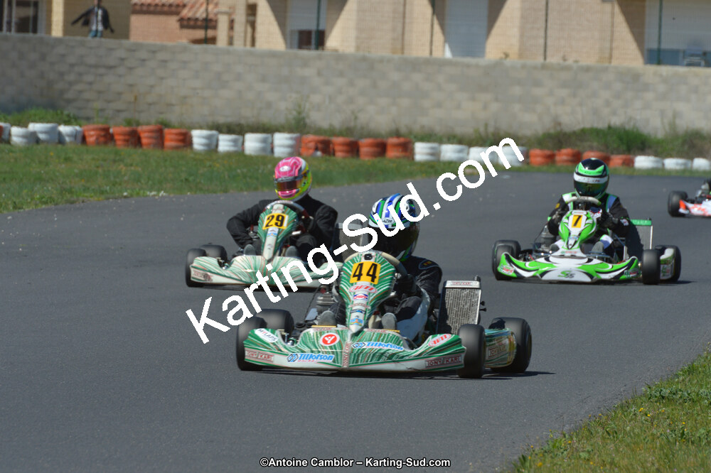 DSC_2311.jpg