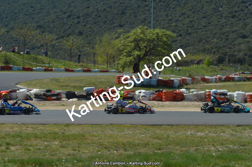 DSC_2377.jpg