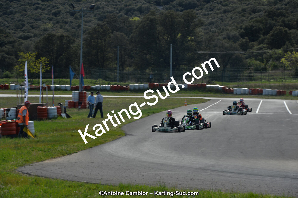 DSC_3380.jpg