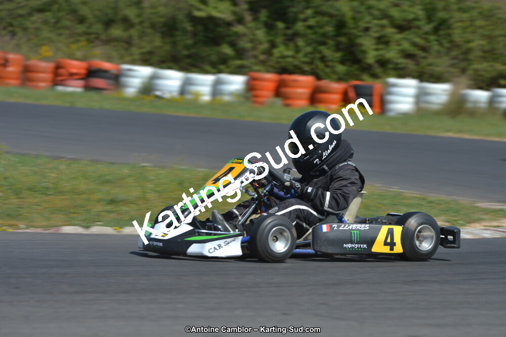 DSC_8666.jpg