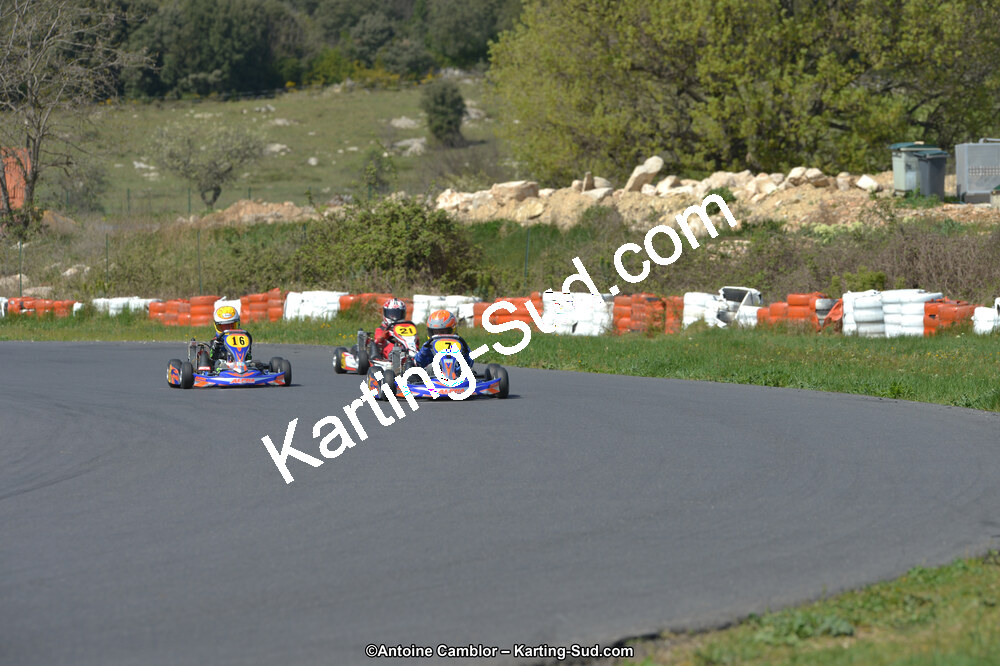 DSC_8696.jpg