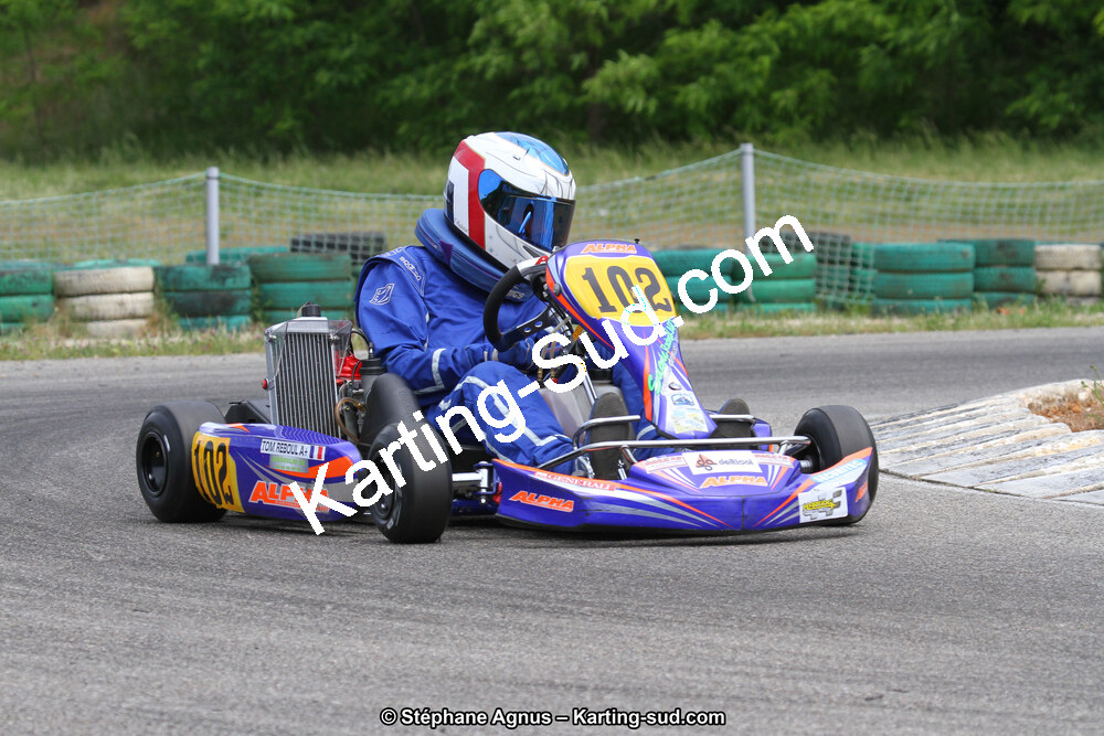 IMG_7014.JPG