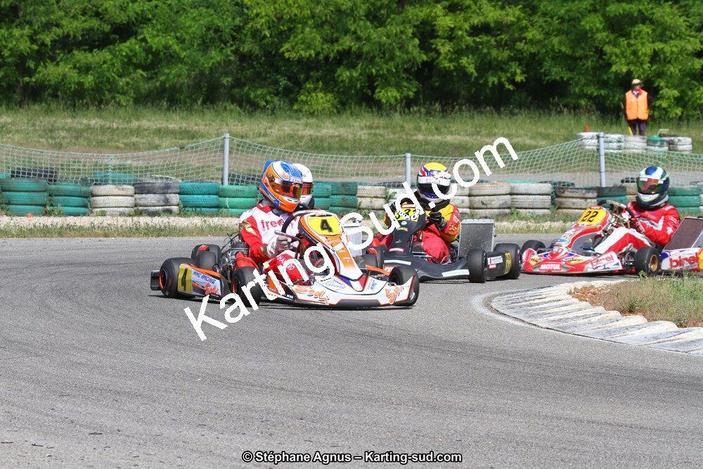 IMG_7381.JPG