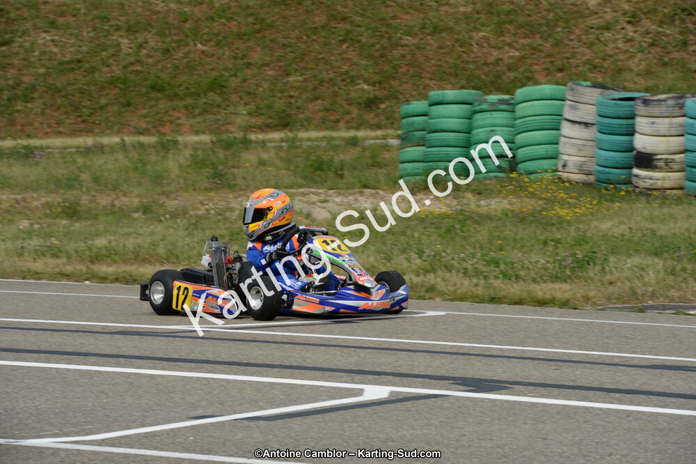 DSC_0181.jpg