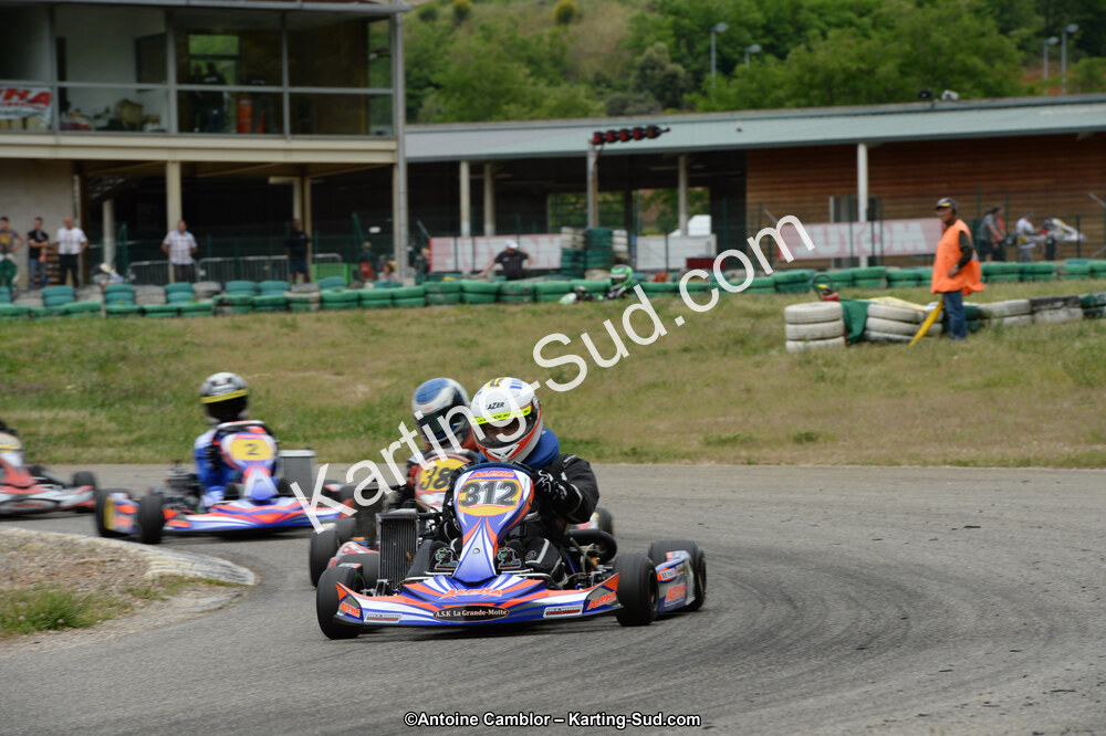 DSC_0528.jpg