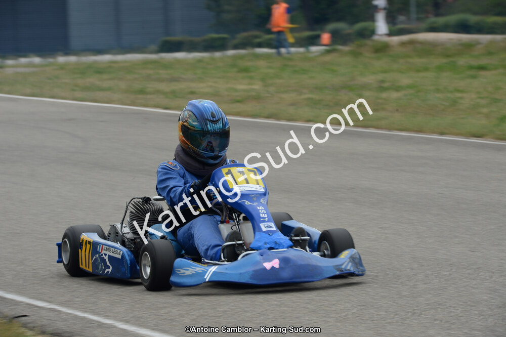 11/05/2014 : 4ème manche du Championnat du Sud à Alès (Photos Antoine Camblor) 2014 — karting