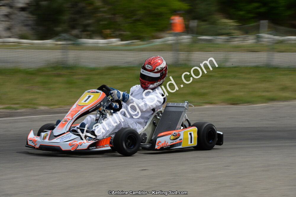 DSC_1178.jpg