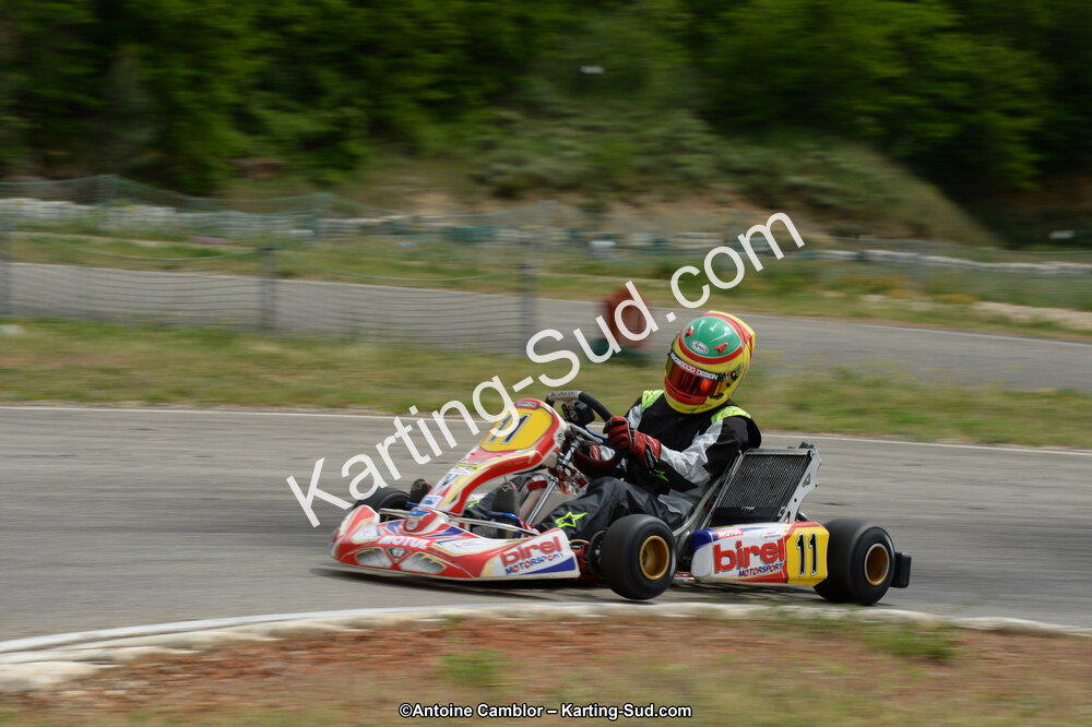 DSC_1274.jpg