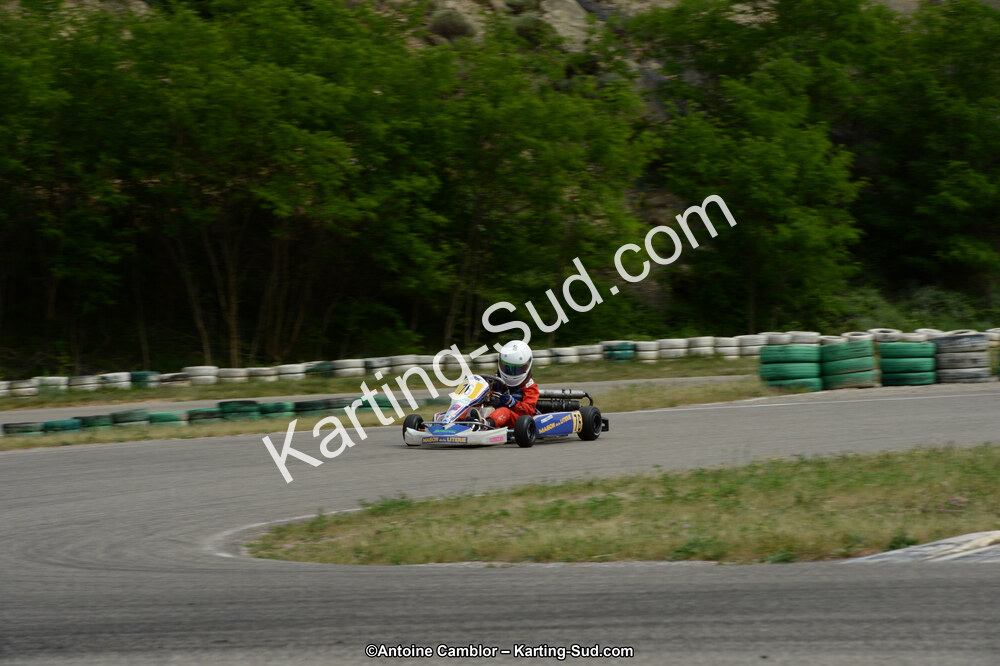 DSC_1511.jpg