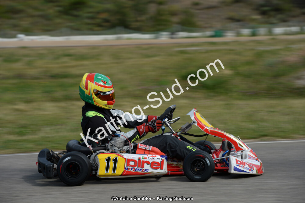 11/05/2014 : 4ème manche du Championnat du Sud à Alès (Photos Antoine Camblor) 2014 — karting