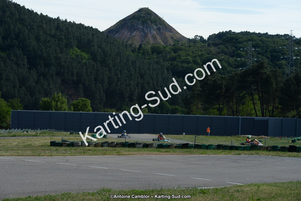 DSC_2022.jpg