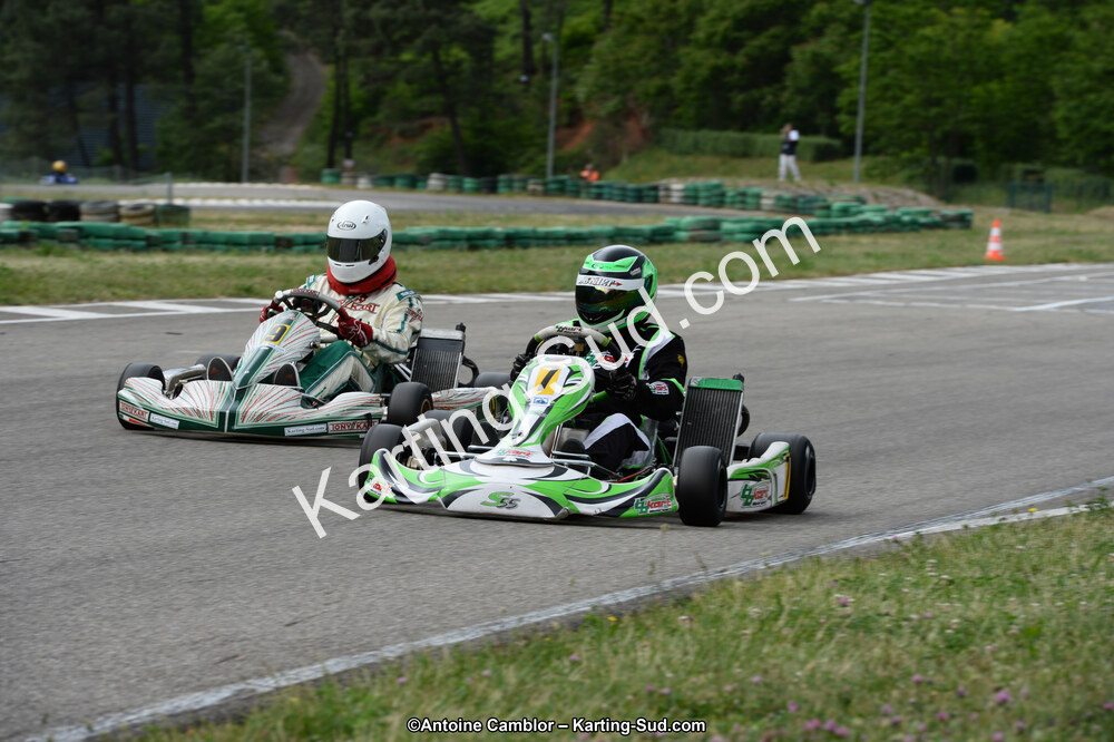 DSC_3226.jpg