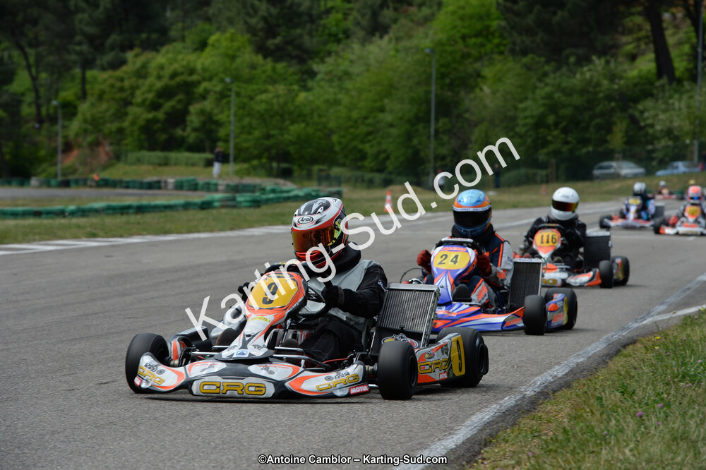 DSC_3979.jpg