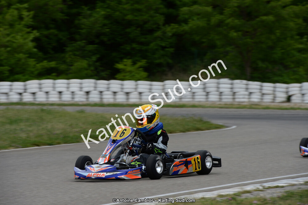 DSC_4369.jpg