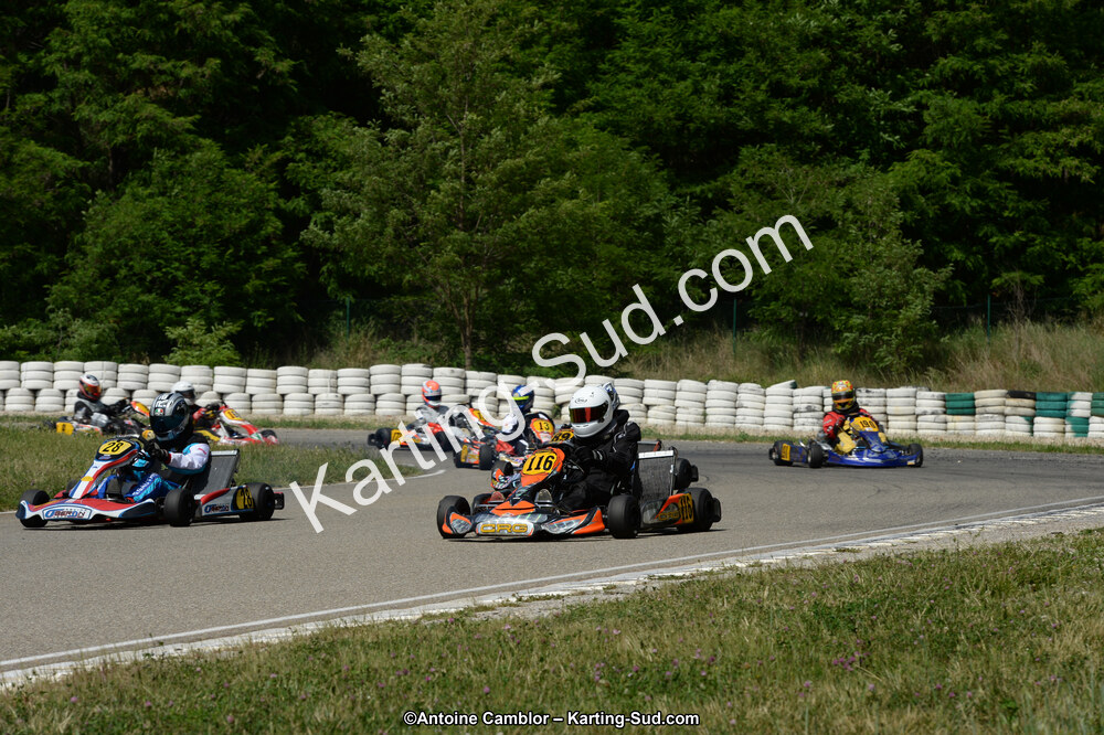 DSC_5255.jpg
