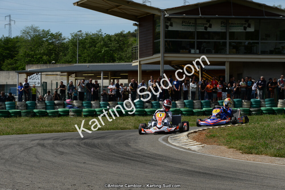 DSC_5388.jpg