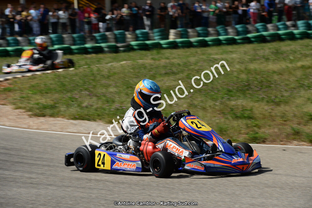 DSC_5433.jpg