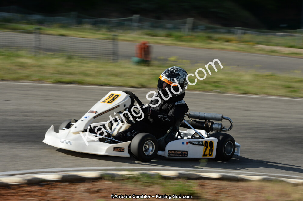 DSC_9505.jpg