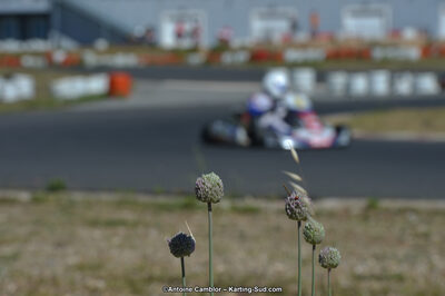 25/05/2014 : Kartix Clubs à Ganges (Photos Antoine Camblor) 2014 — karting