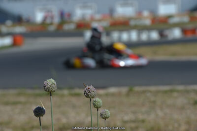 25/05/2014 : Kartix Clubs à Ganges (Photos Antoine Camblor) 2014 — karting