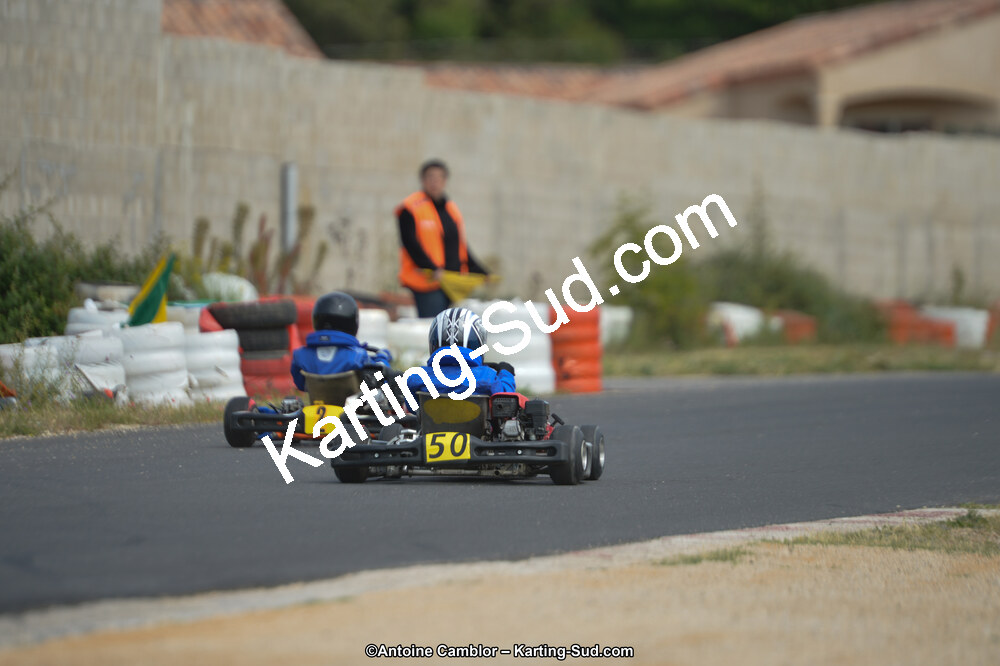 DSC_0179.jpg