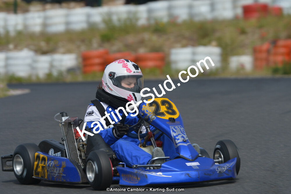 DSC_0223.jpg