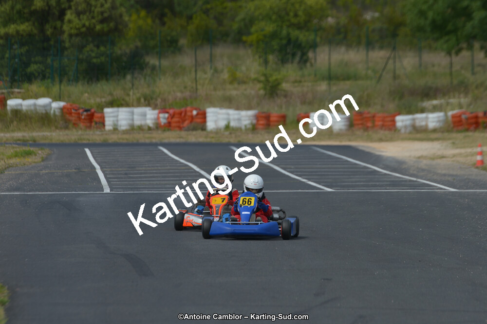 DSC_0297.jpg