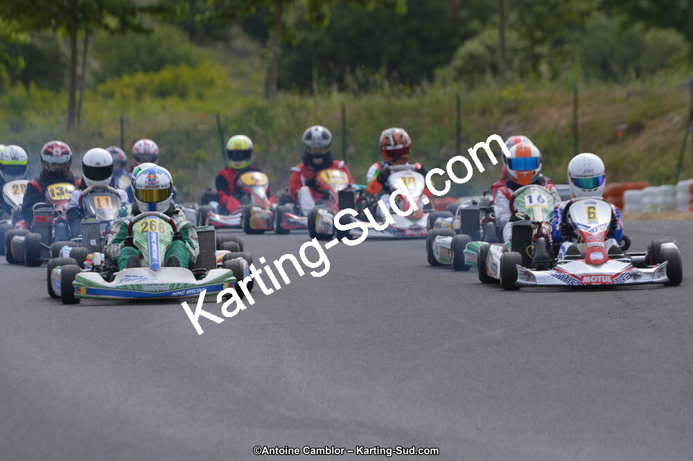 25/05/2014 : Kartix Clubs à Ganges (Photos Antoine Camblor) 2014 — karting