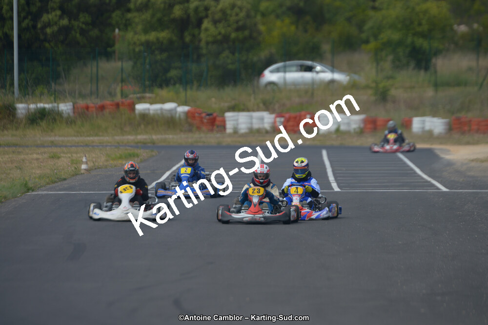 DSC_0381.jpg