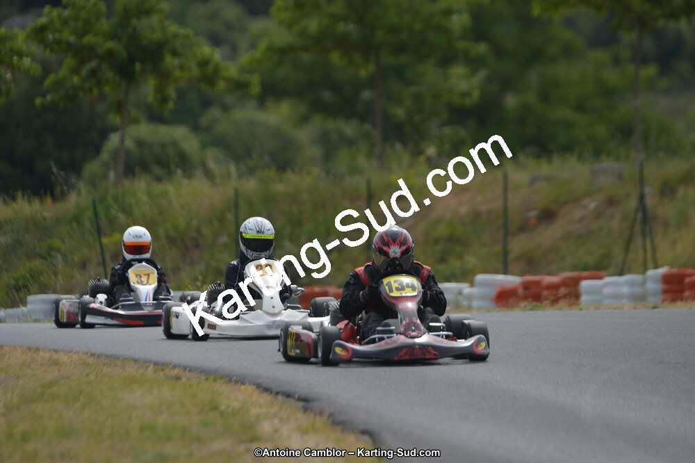 DSC_0393.jpg
