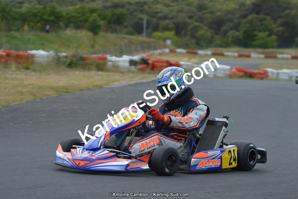 DSC_1565.jpg