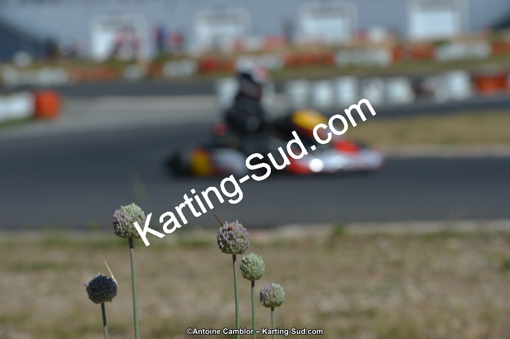 25/05/2014 : Kartix Clubs à Ganges (Photos Antoine Camblor) 2014 — karting