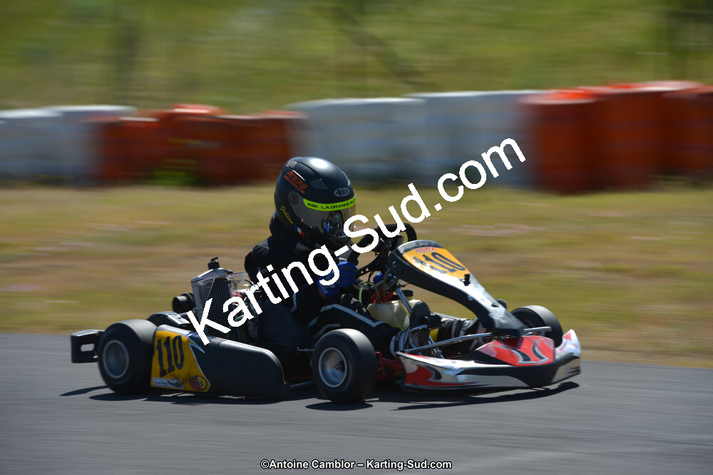 DSC_8232.jpg
